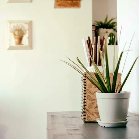 Tosca's House Apartament *